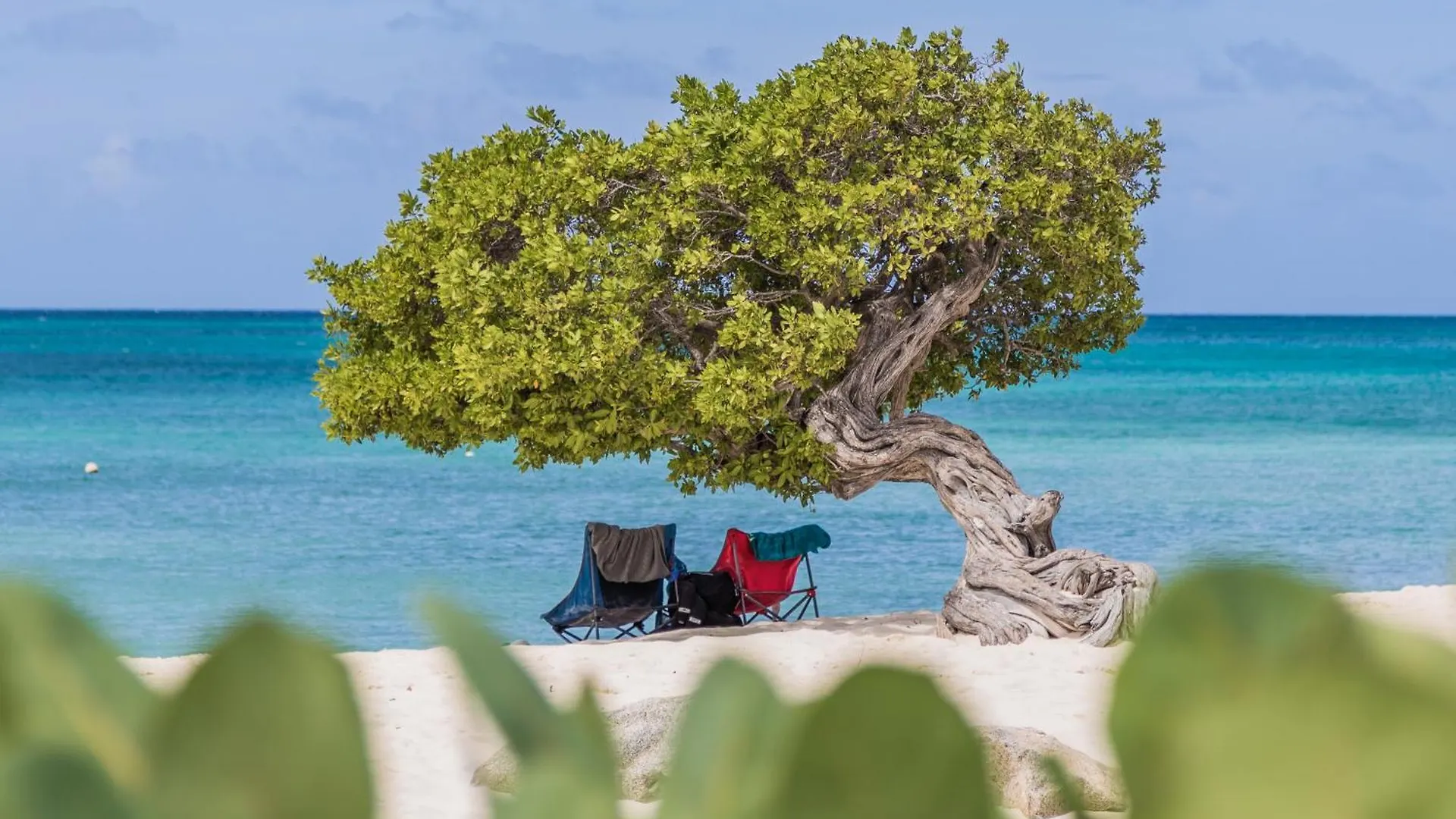 Hh-2Bdr413 - New Modern Apartment In Oceanfront Luxury Condo In Aruba! Oranjestad 0*,  Aruba