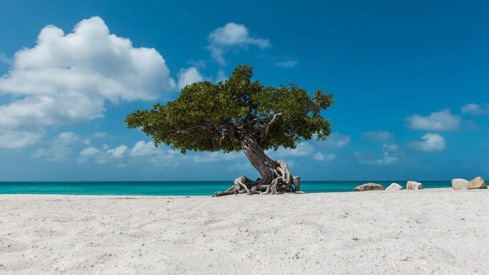 Hh-2Bdr413 - New Modern Apartment In Oceanfront Luxury Condo In Aruba! Oranjestad