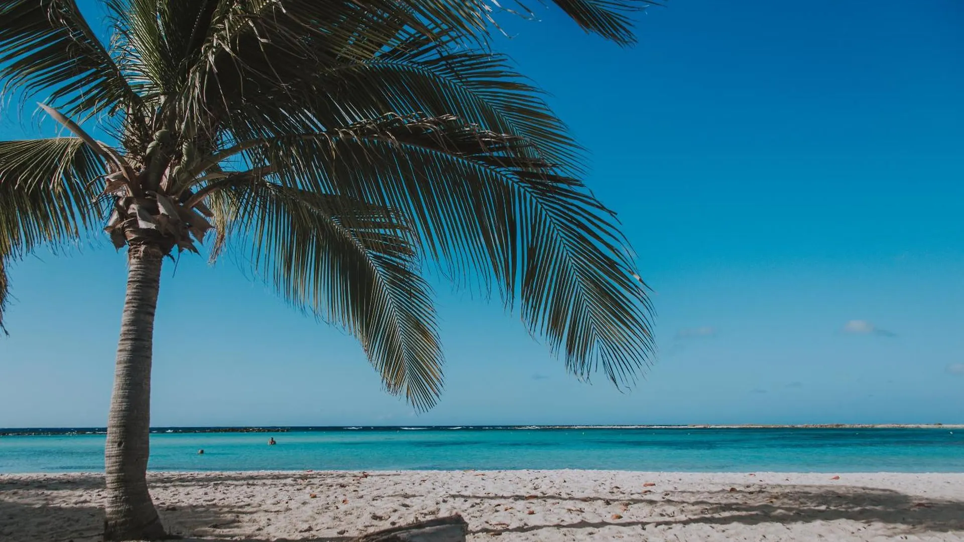 Hh-2Bdr413 - New Modern Apartment In Oceanfront Luxury Condo In Aruba! Oranjestad